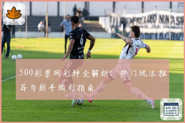 500彩票网彩种全解析：热门玩法推荐与新手购彩指南