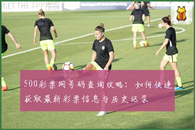 500彩票网号码查询攻略：如何快速获取最新彩票信息与历史记录