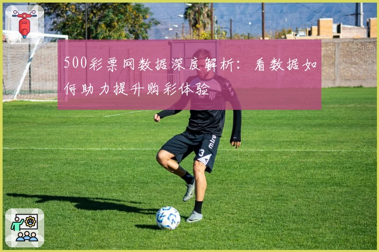 500彩票网数据深度解析：看数据如何助力提升购彩体验